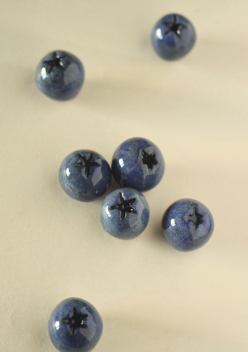 Handmade Blueberry Magnets